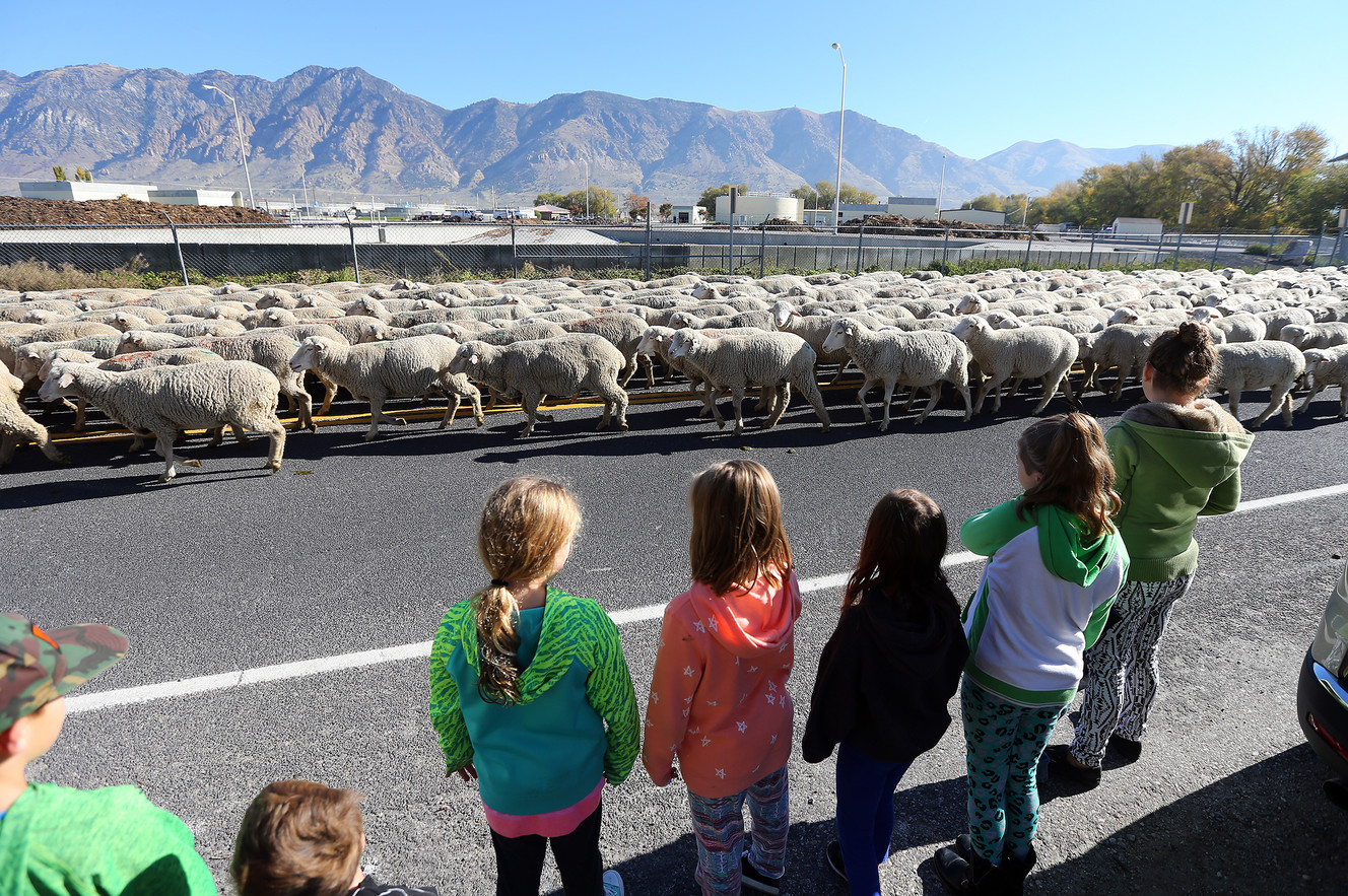 Photo: Scott G Winterton, Deseret News