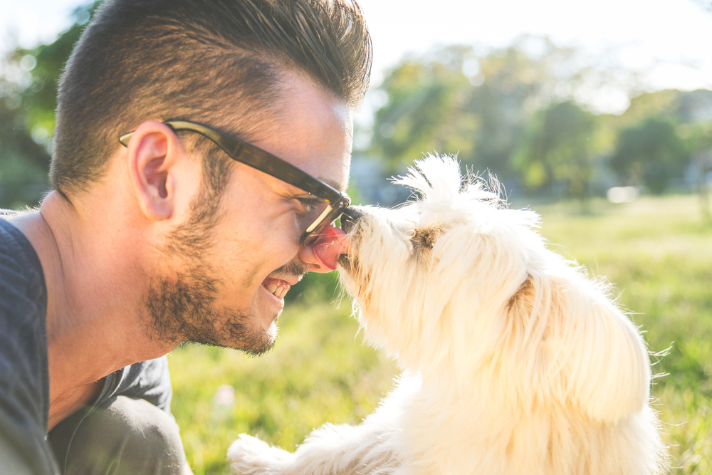 Your dog smells you — better than you think
