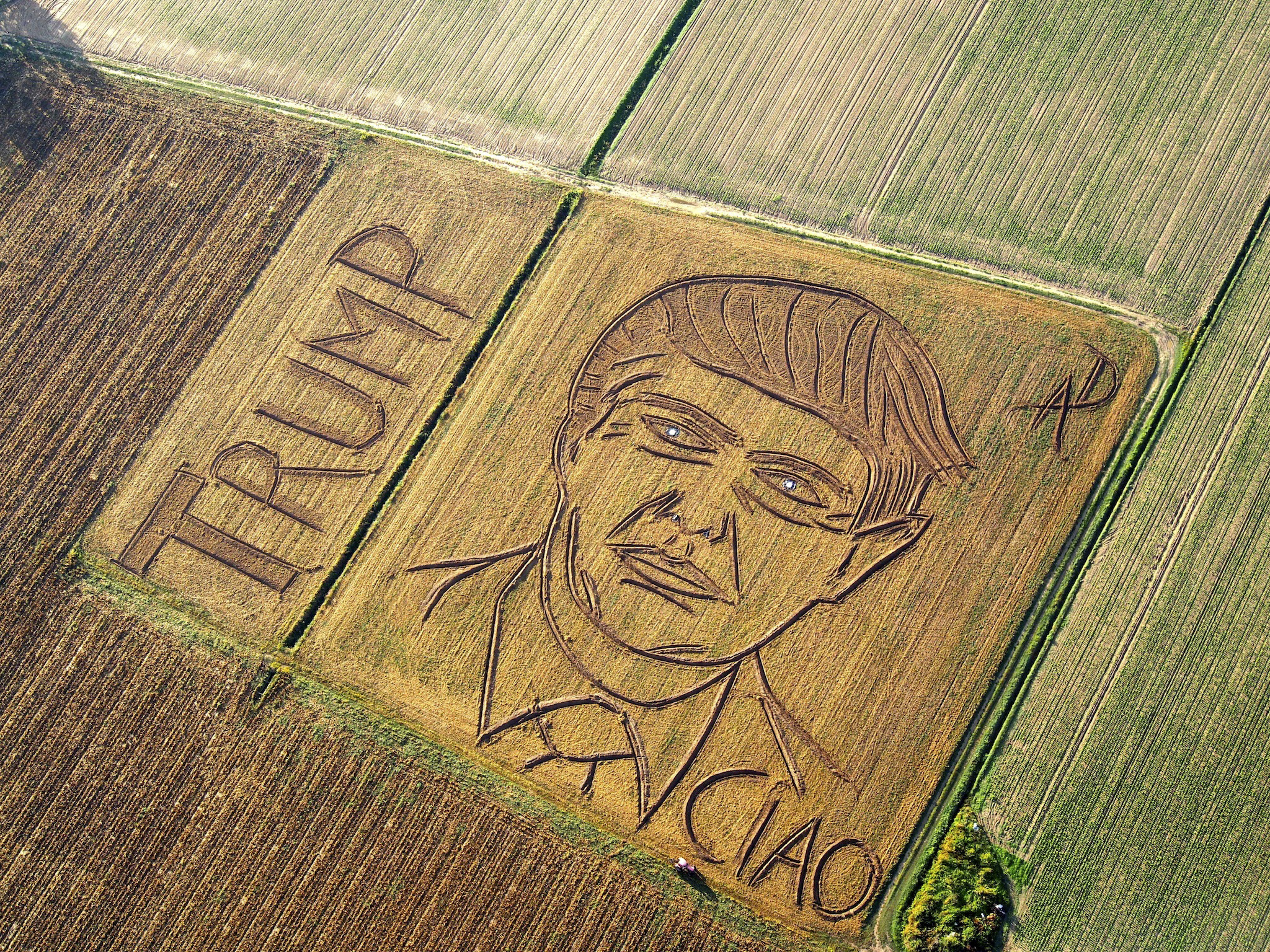 Artist mows giant Trump portrait in Italian cornfield