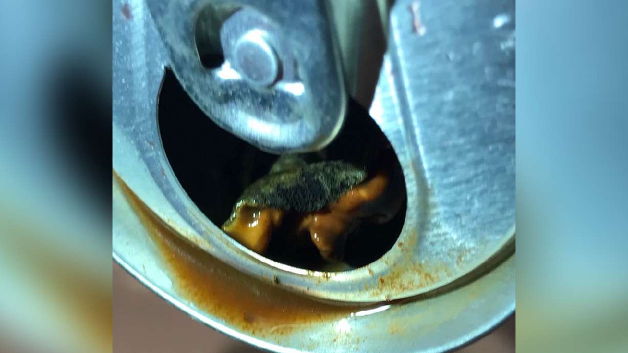 Orem man finds strange, moldy object in V8 Fusion energy drink