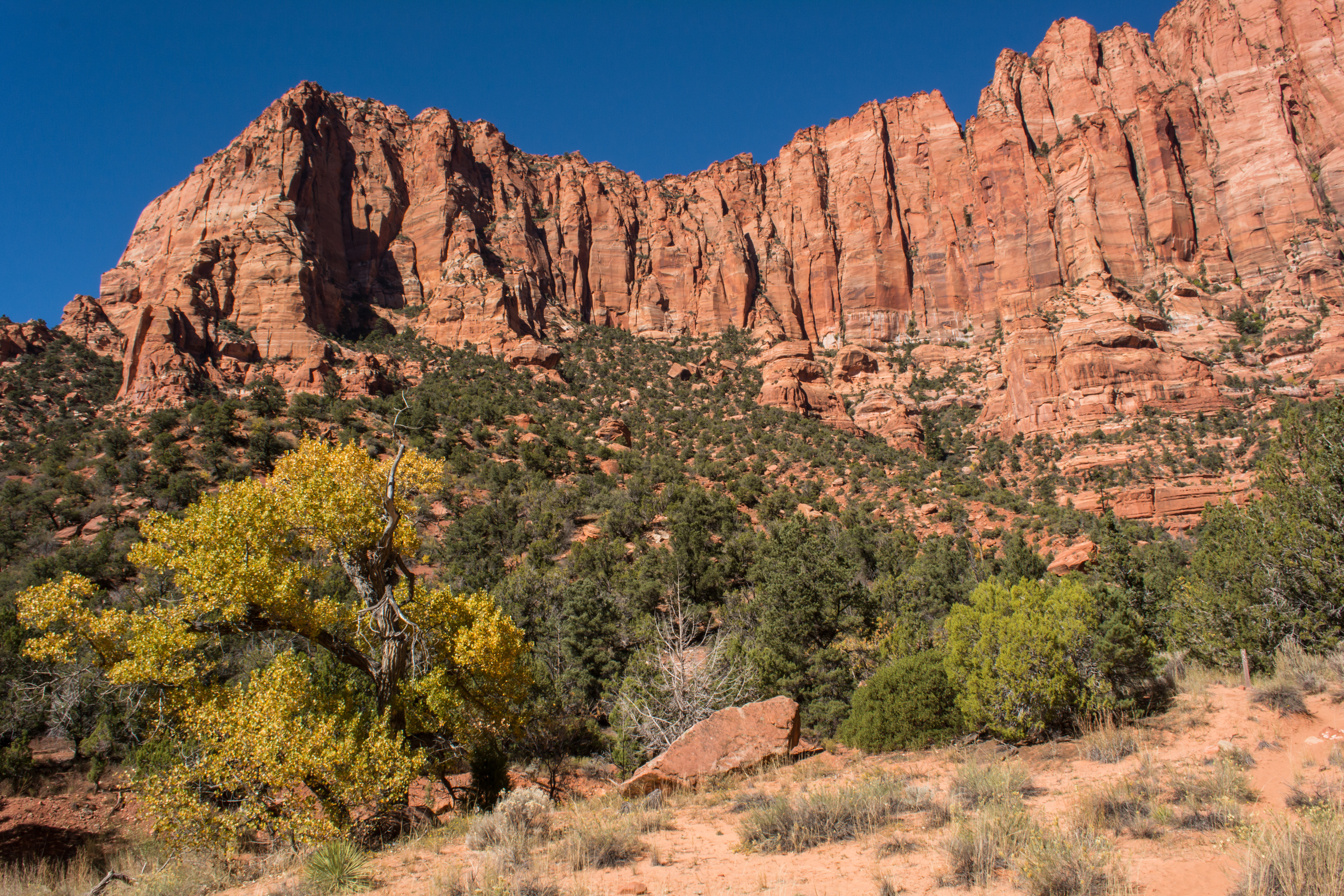 14-year-old boy flown to hospital after falling 30 feet from cliff between Hurricane and La Verkin