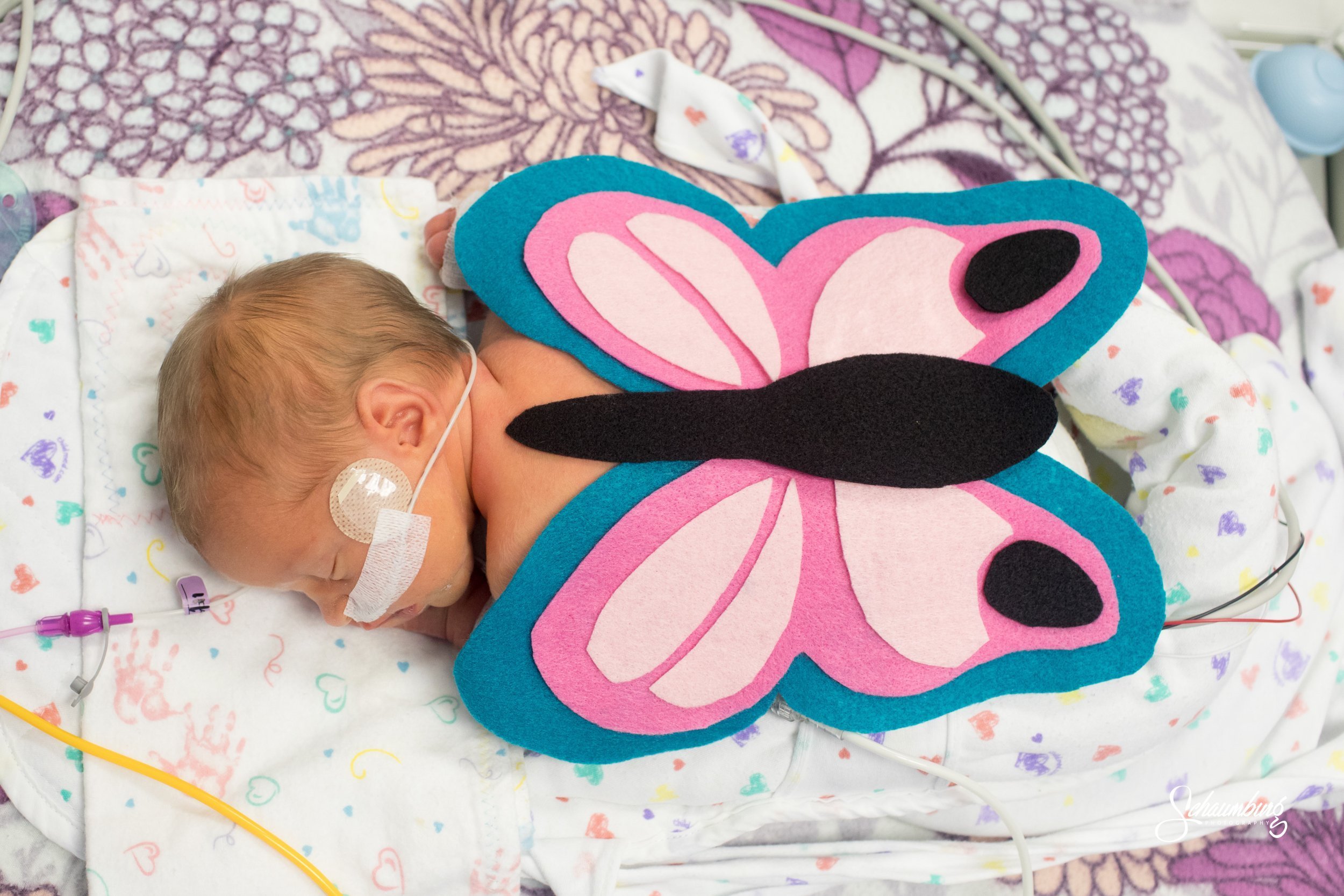 (Photo: Sally Morrow Photography)