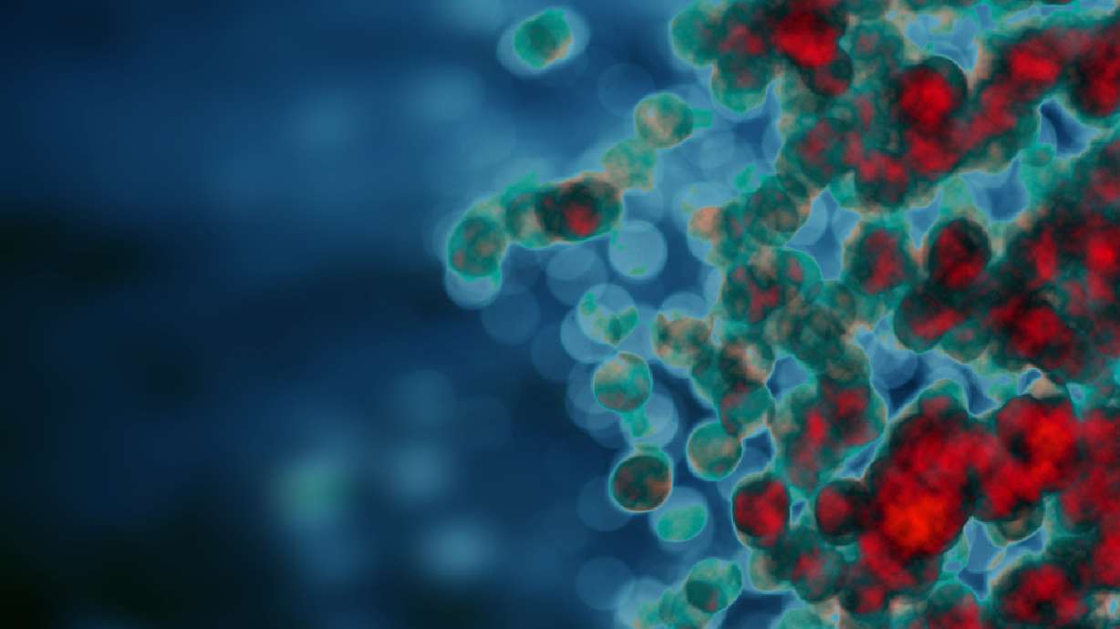 Can your own immune system kill cancer?