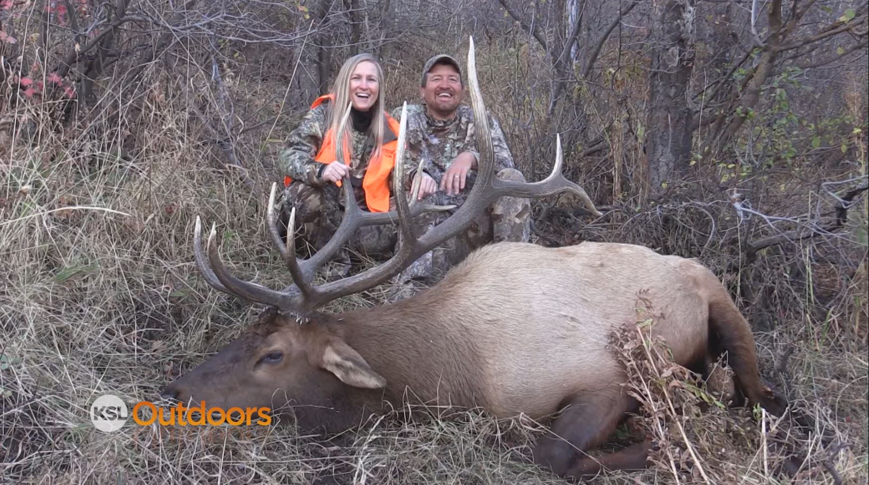 Elk Hunting Porn - Trophy Bull Elk Hunt with the Wife on Northern Utah CWMU ...