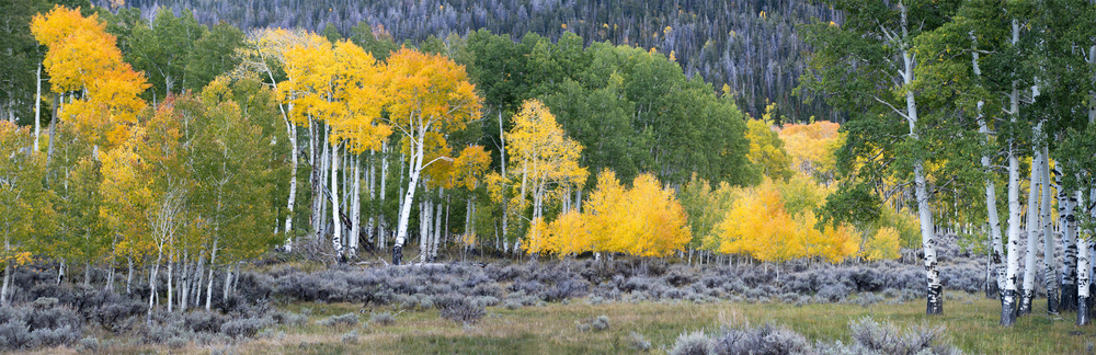 (Photo: Kreig Rasmussen, Shutterstock)