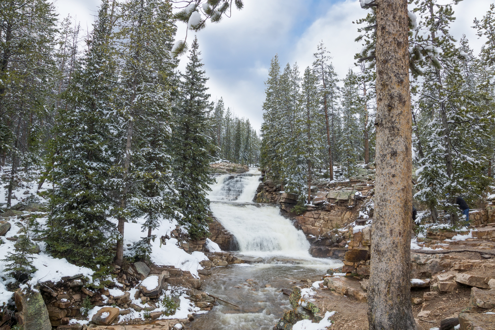 (Photo: IrinaK, Shutterstock)