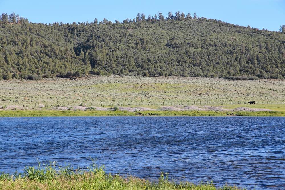 (Photo: Tupungato, Shutterstock)