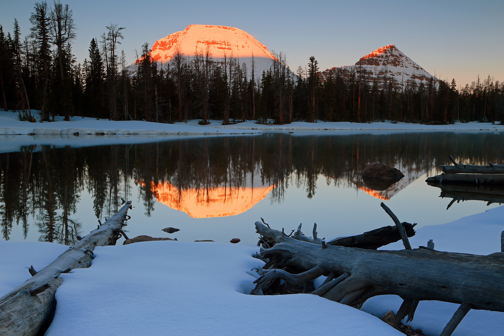 (Photo: Johnny Adolphson, Shutterstock)