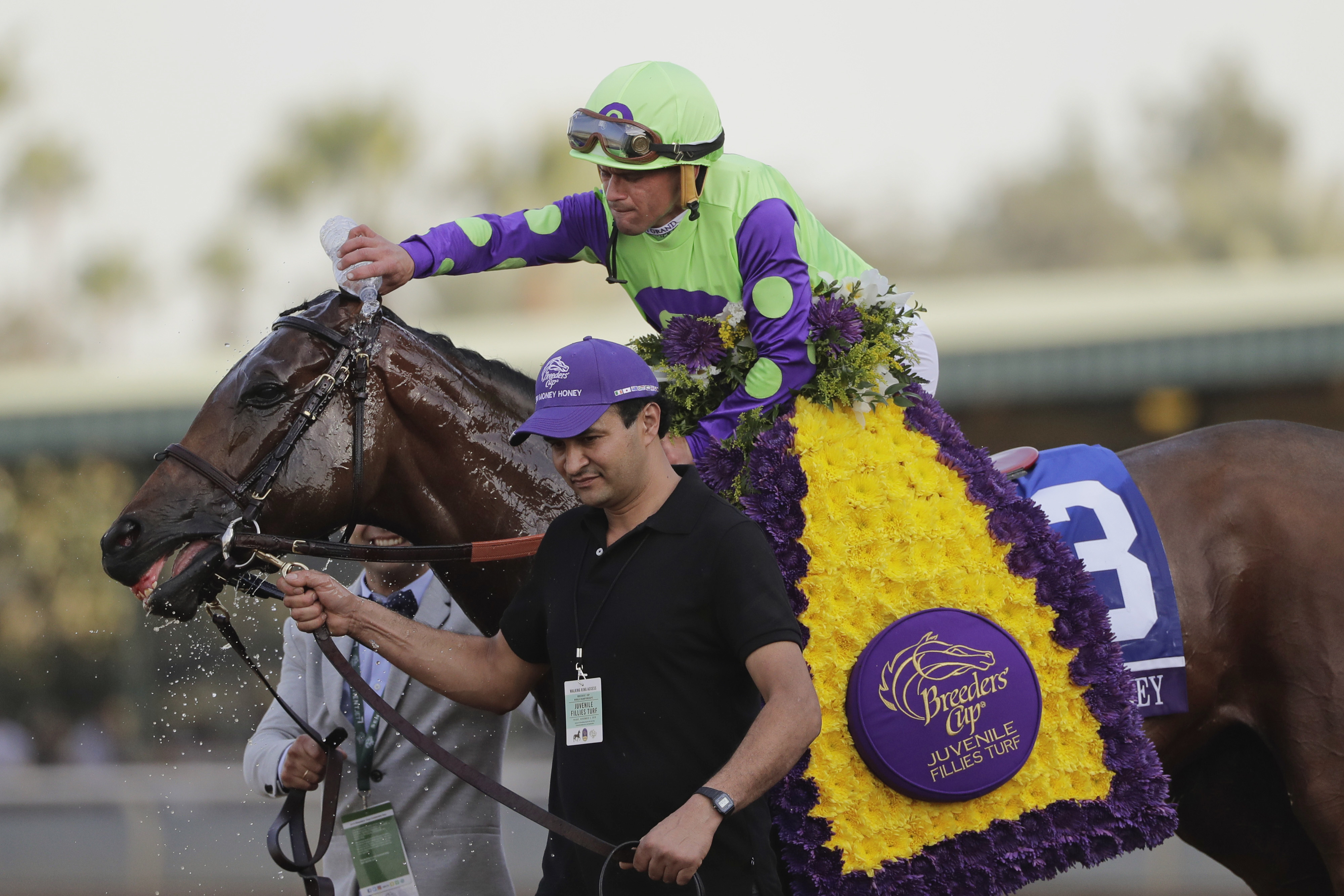 By a nose: Beholder upsets Songbird to win BC Distaff