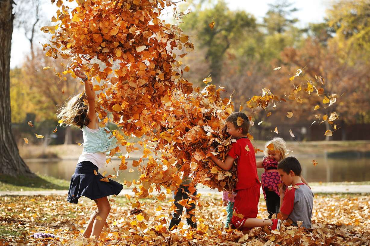 Kaylee, Cheyenne, Trampas, Ali and Talmage Brooks play in the fall leaves at Liberty Park in Salt Lake City on Friday, Nov. 4, 2016. (Photo: Jeffrey D. Allred, Deseret News)