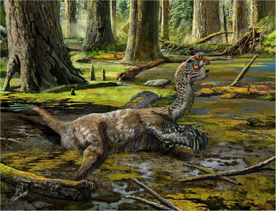 'Mud dragon' dinosaur unearthed by dynamite at Chinese construction site