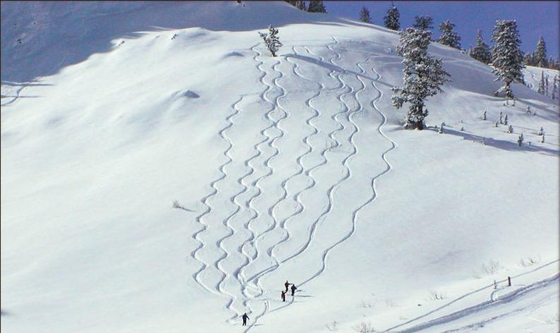 Powder Mountain Resort. Photo: Powder Mountain Resort