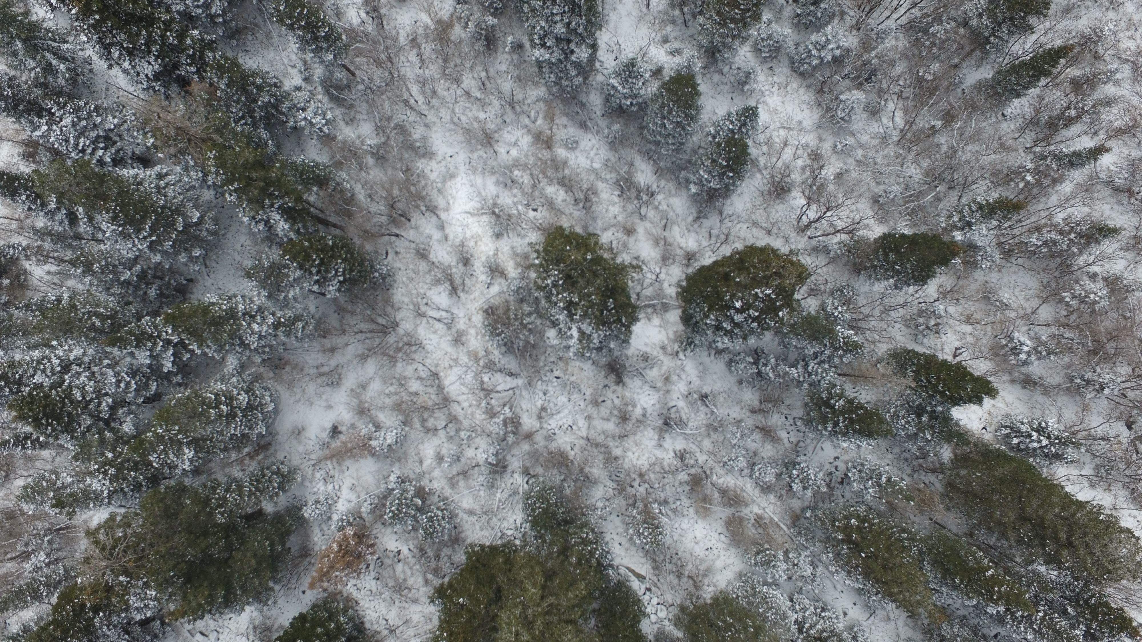 Photo: Devon Dewey, KSL.com