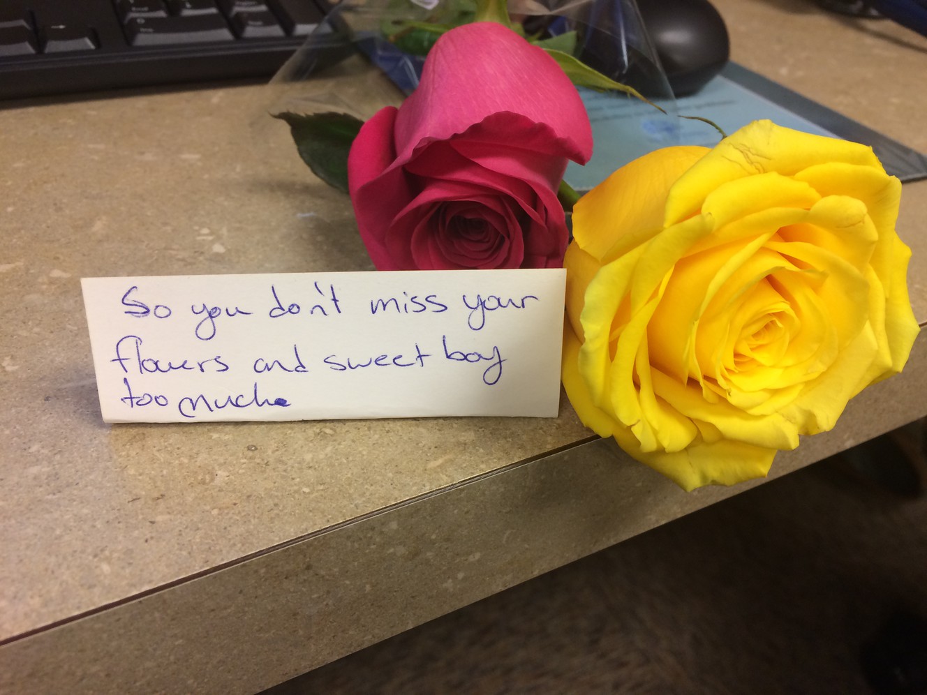 (Photo: Courtesy of CJ Slade)