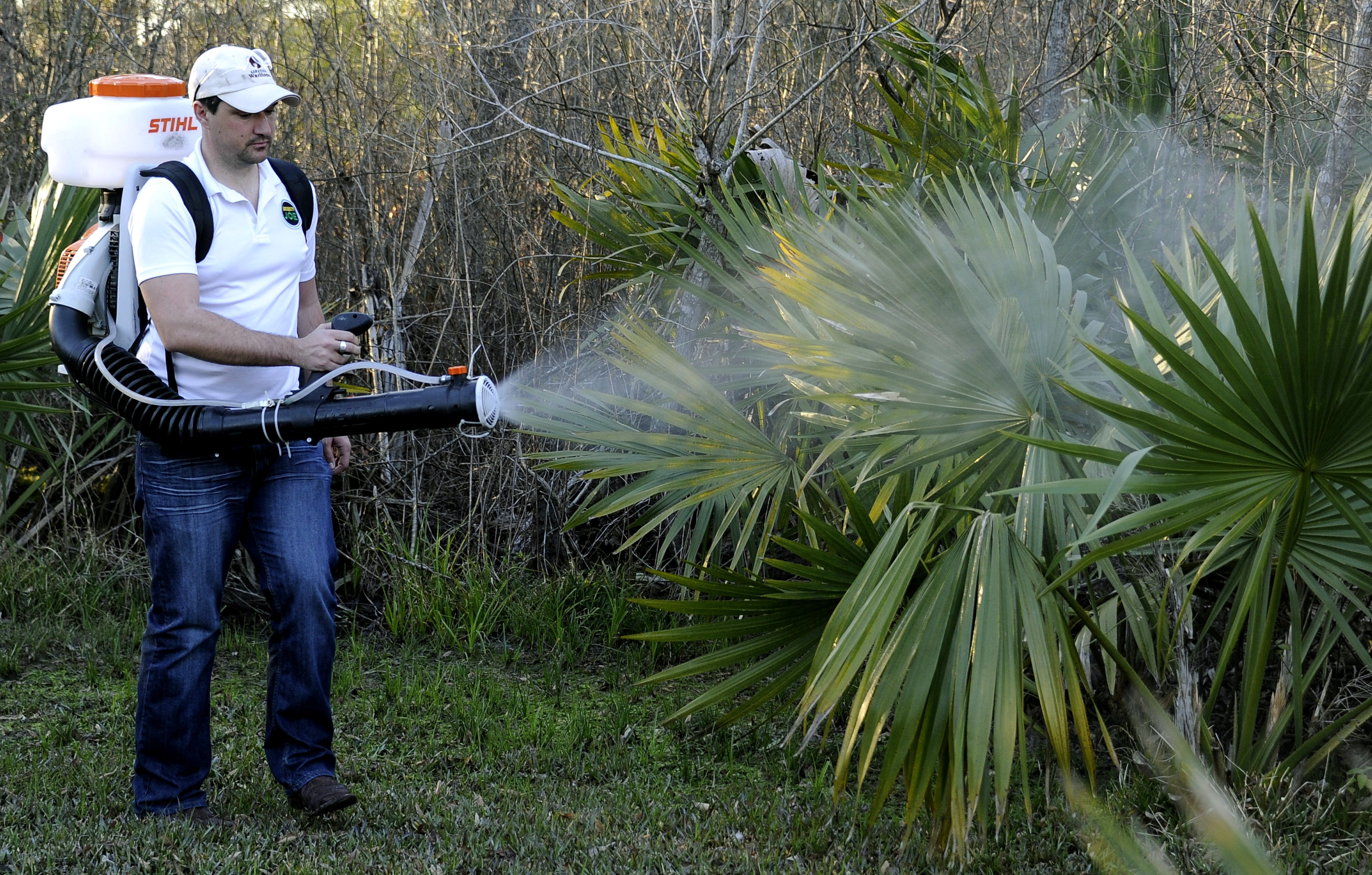 Q&A: A look at Texas' first homegrown case of Zika