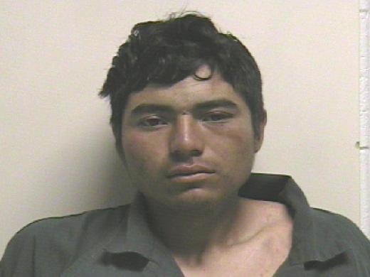 Charges: Homeless man murdered by 18-year-old in Provo suffered 'near decapitation'
