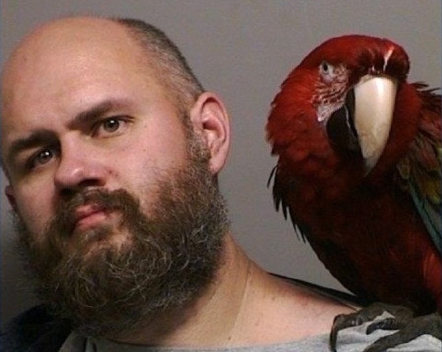 Macaw poses in man's mug shot after unlucky court appearance