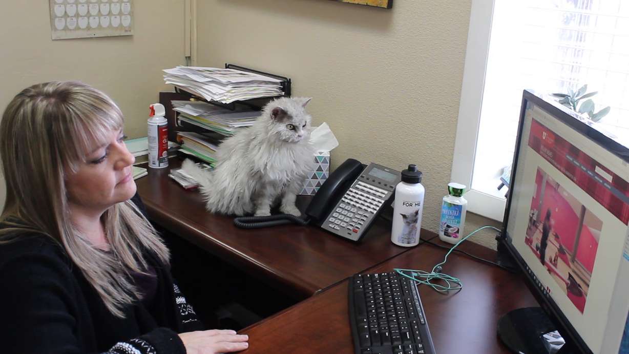 (Photo: Carter Williams, KSL.com)