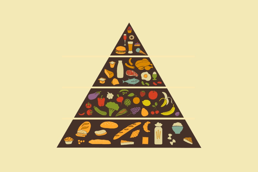 How the food pyramid is slowly killing you