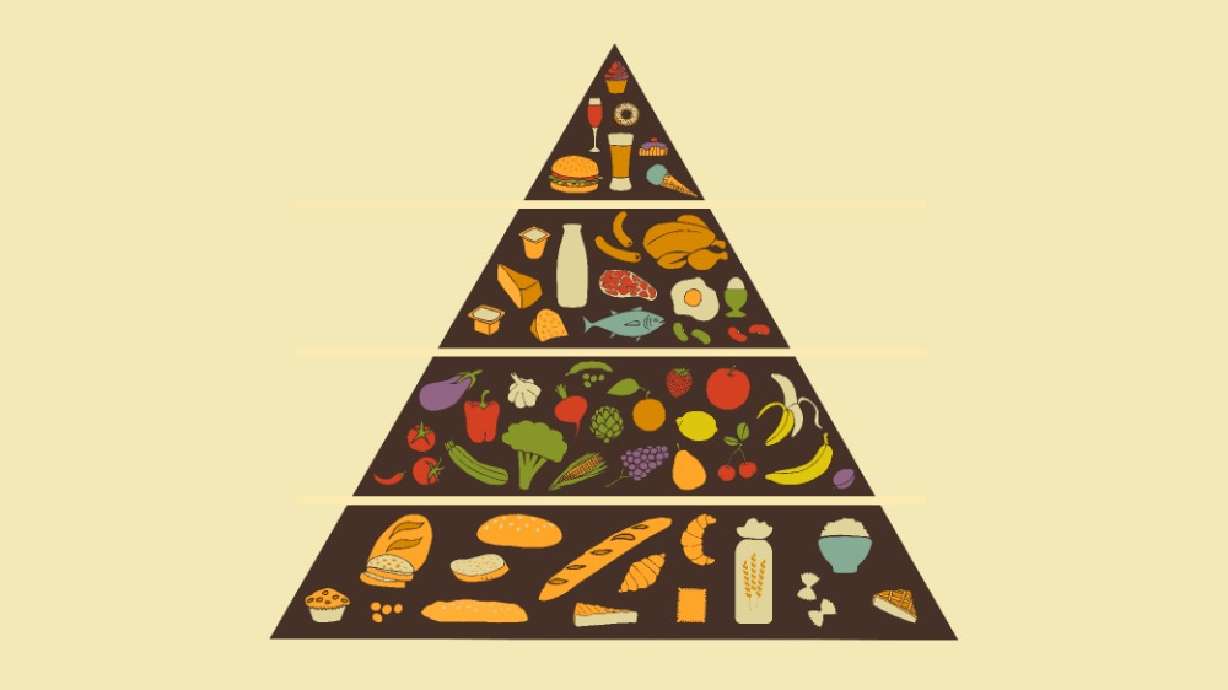 How the food pyramid is slowly killing you