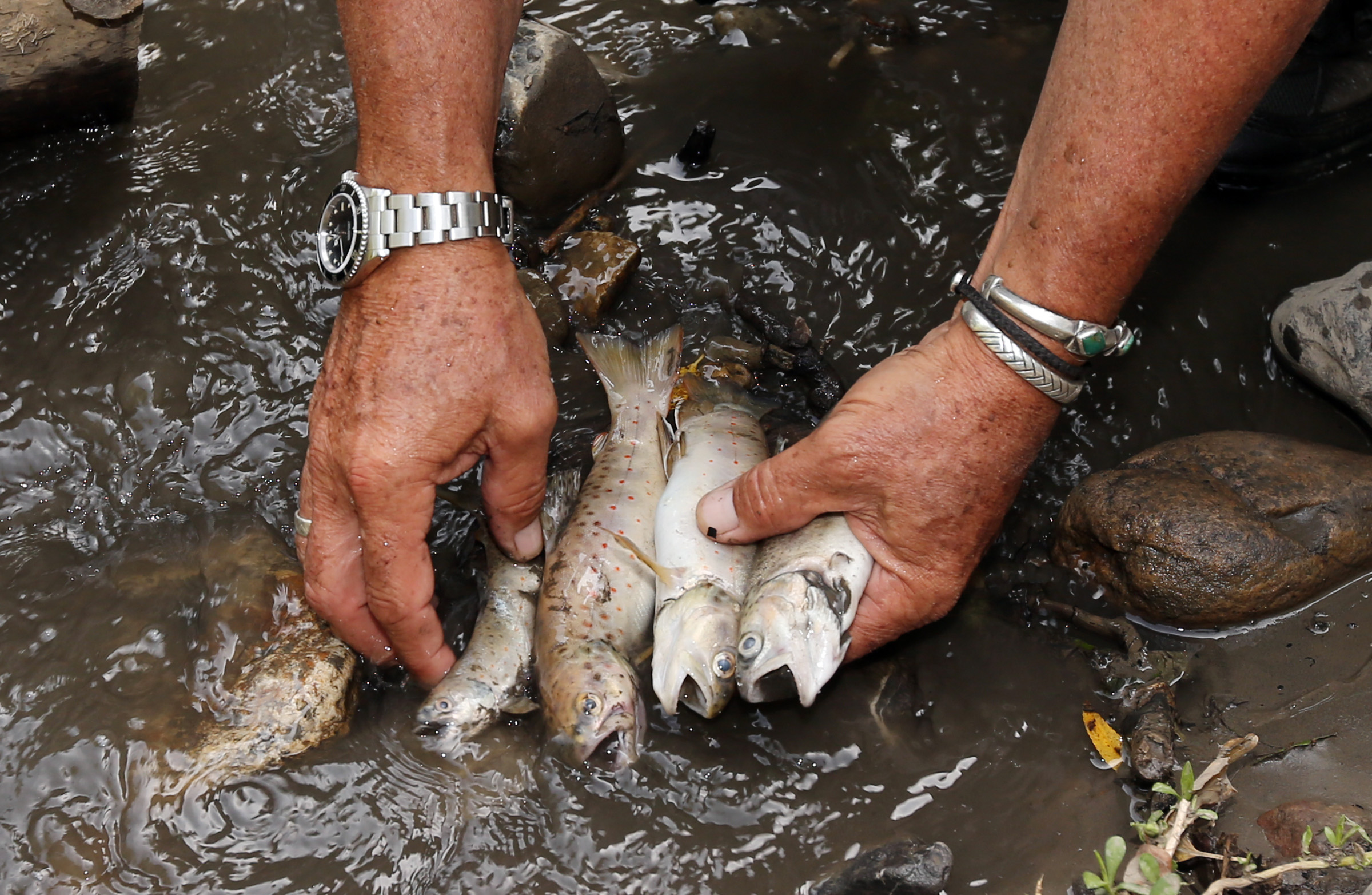 State seeks action on coal ash spill in Price River