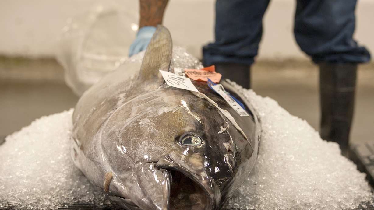 US issuing new rules to curb illegal fishing, seafood fraud