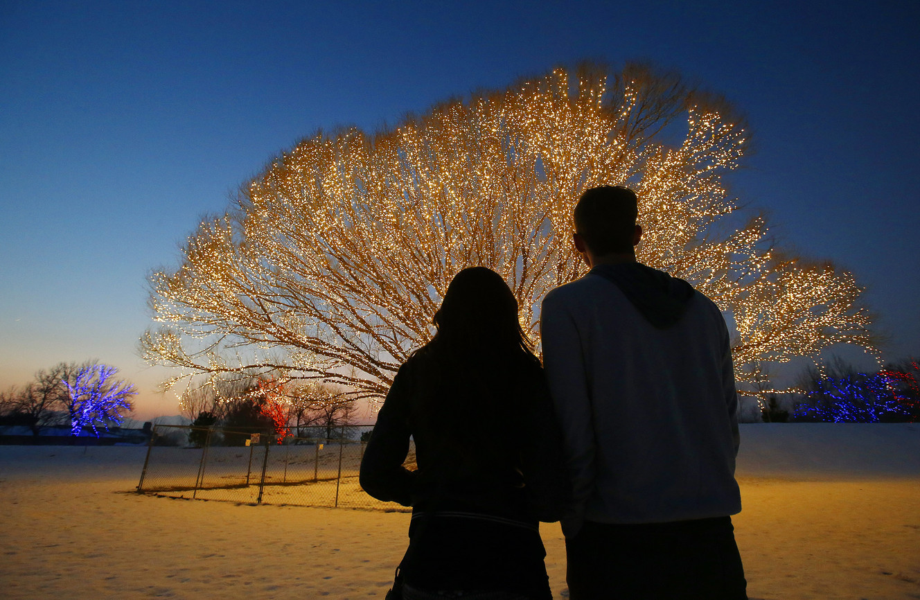 Photos: ‘Tree of Life’ lights up Draper park