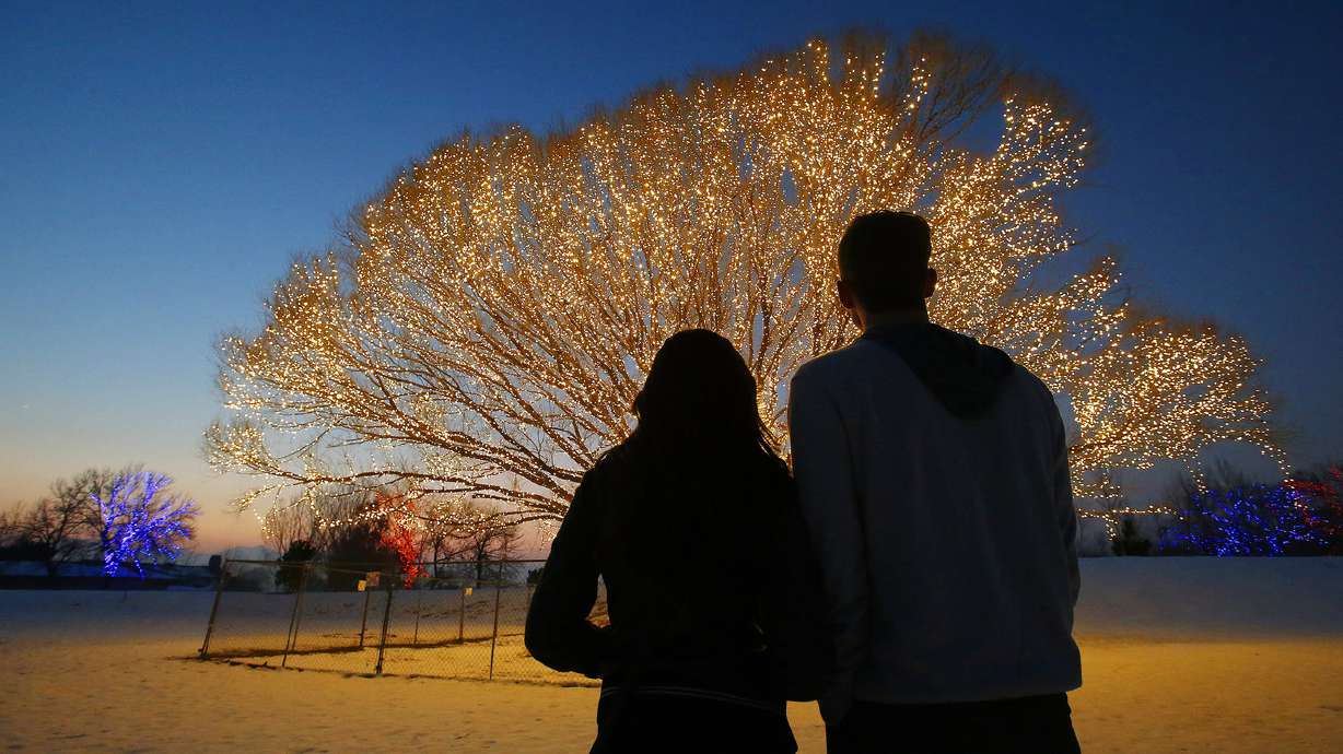 Photos: ‘Tree of Life’ lights up Draper park