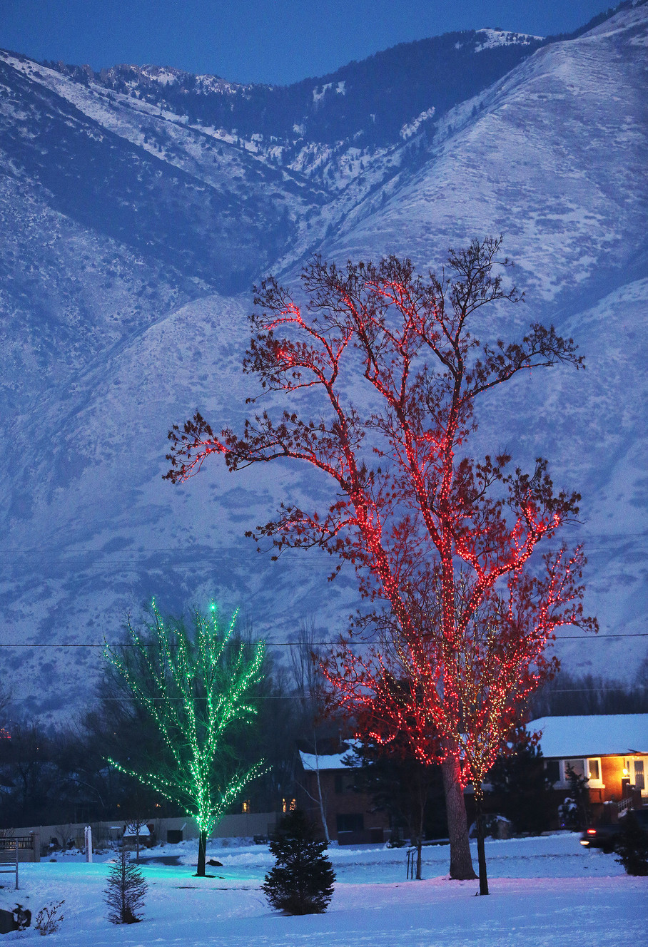 Lit up trees in Draper City Park in Draper on Friday, Dec. 30, 2016. A lone willow tree lights the air with over 1,000 strands of lights. (Photo: Jeffrey D. Allred, Deseret News)