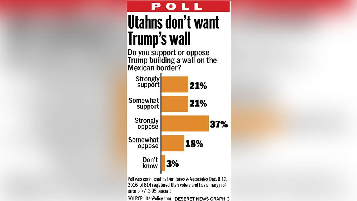 Image: Mary Archbold