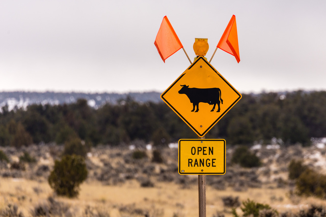 Road signs warn drivers of cattle near or on the highways atop Cedar Mesa, within Bears Ears National Monument. (Photo: Dave Cawley, KSL)