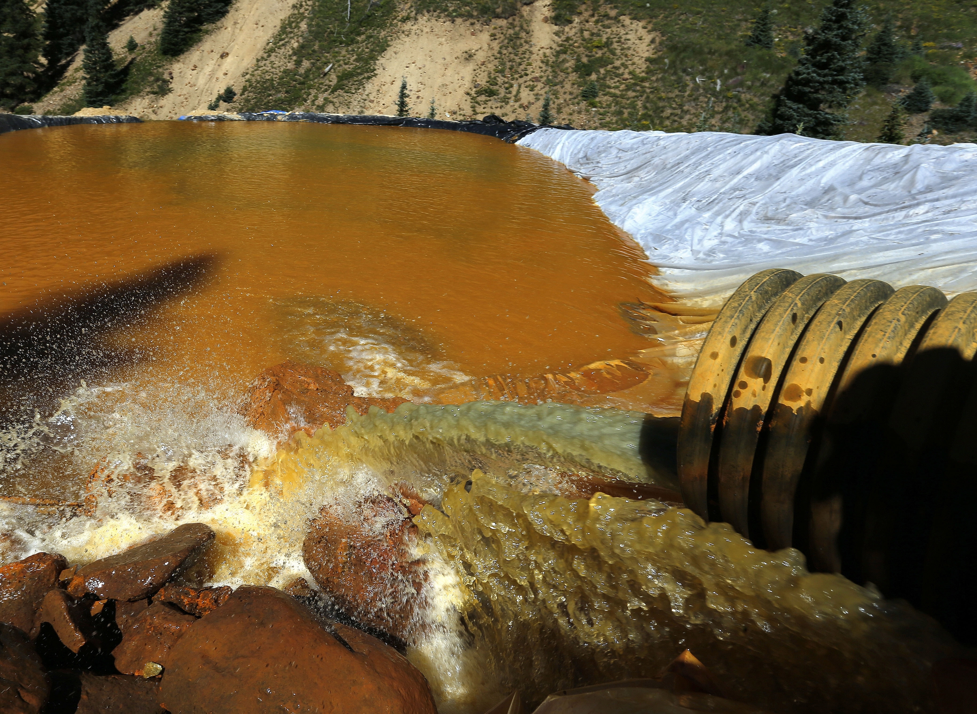 EPA: Fish damage from mine spill wasn't severe, long-lasting