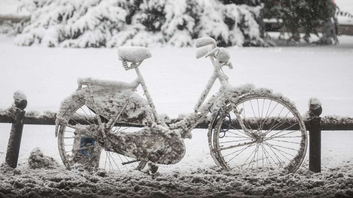 The Latest: Belgrade migrants line up for food in blizzard