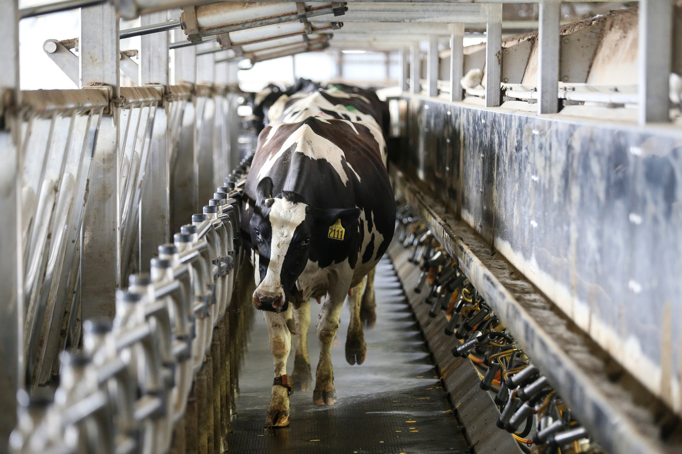 Photo: Spenser Heaps, Deseret News