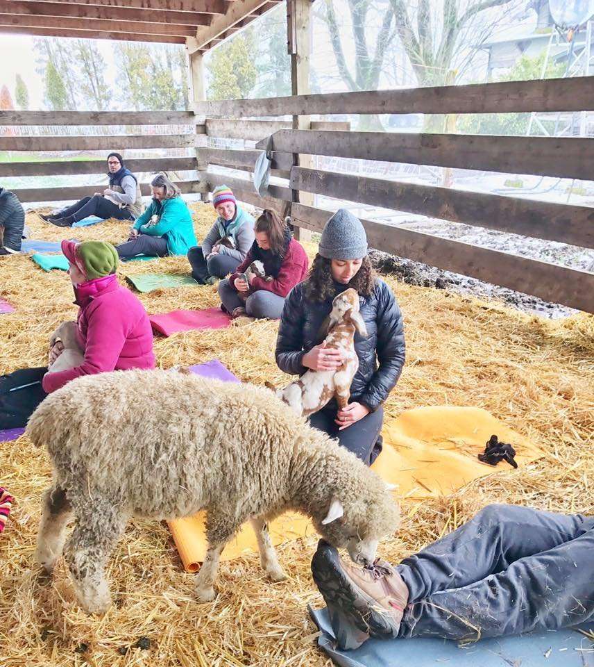 (Photo: Courtesy Lainey Morse)