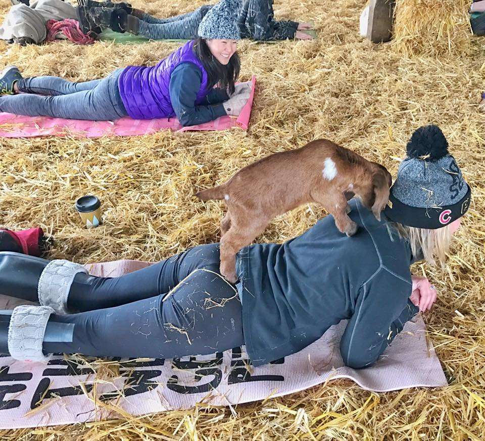 (Photo: Courtesy Lainey Morse)