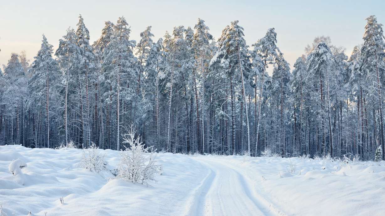 Man dies after hitting a tree while skiing at Brighton Resort
