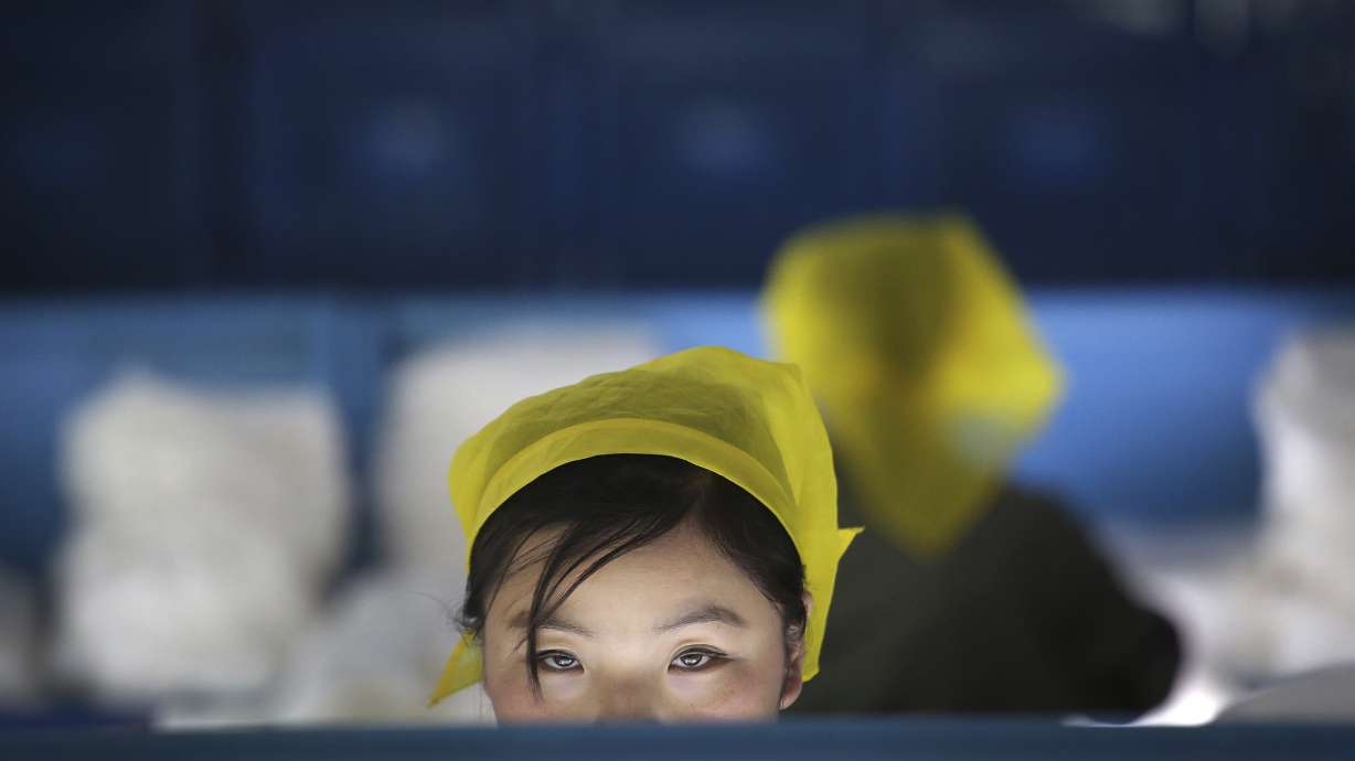 Silk, steam and slogans: Inside a North Korean factory