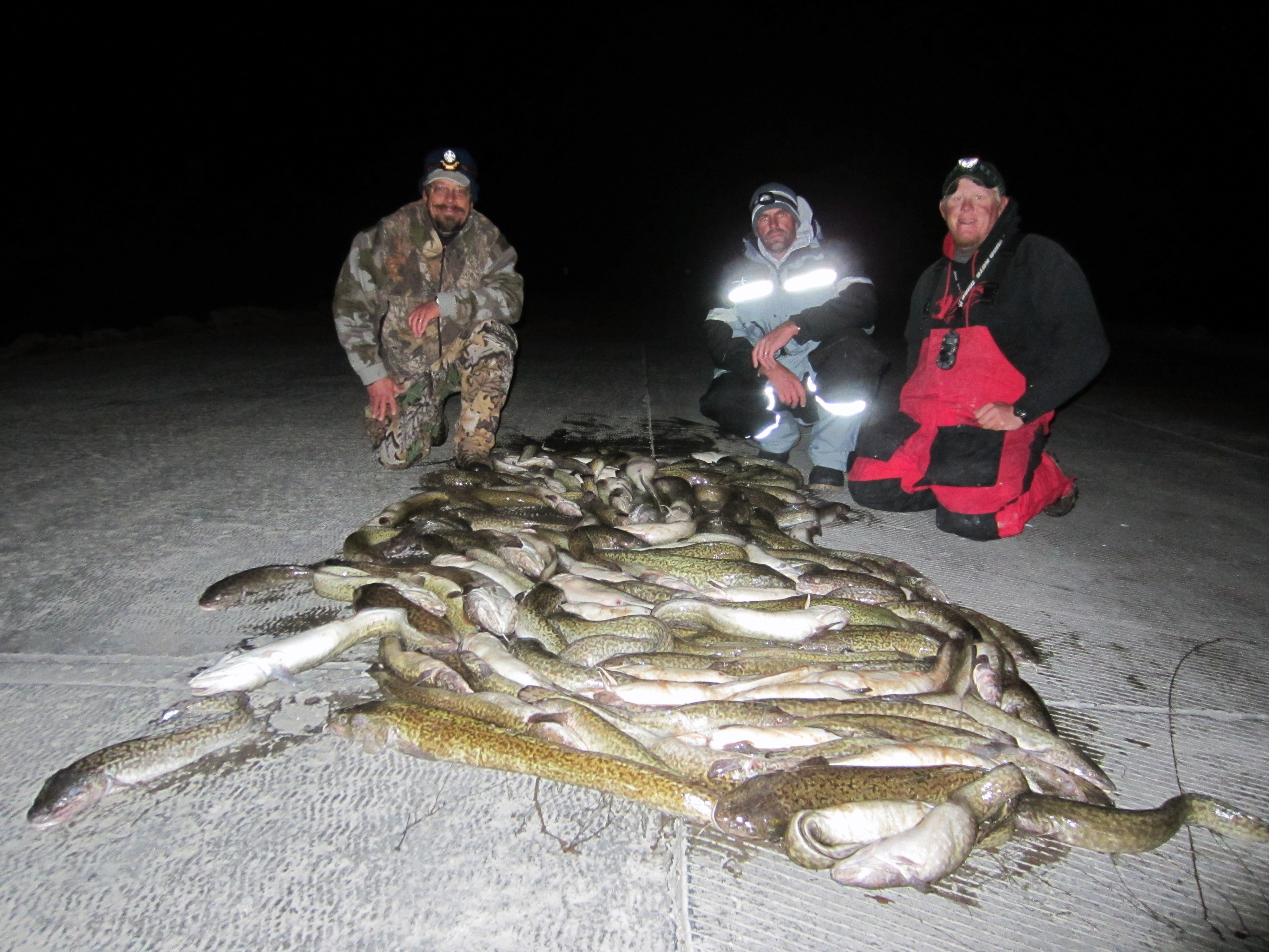 Photo credit: Ryan Mosley, Utah Division of Wildlife Resources