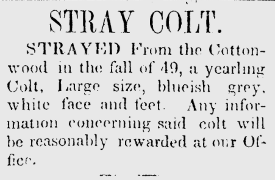 A classified ad for a stray colt in the June 22, 1850 edition of the Deseret News.