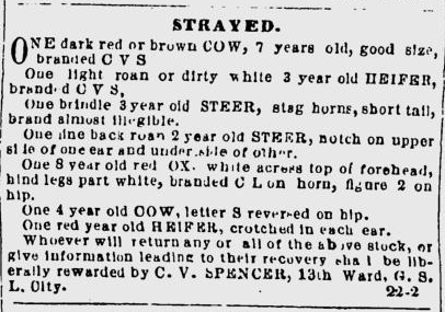 A classified ad placed in the March 2, 1864 edition of the Deseret News.