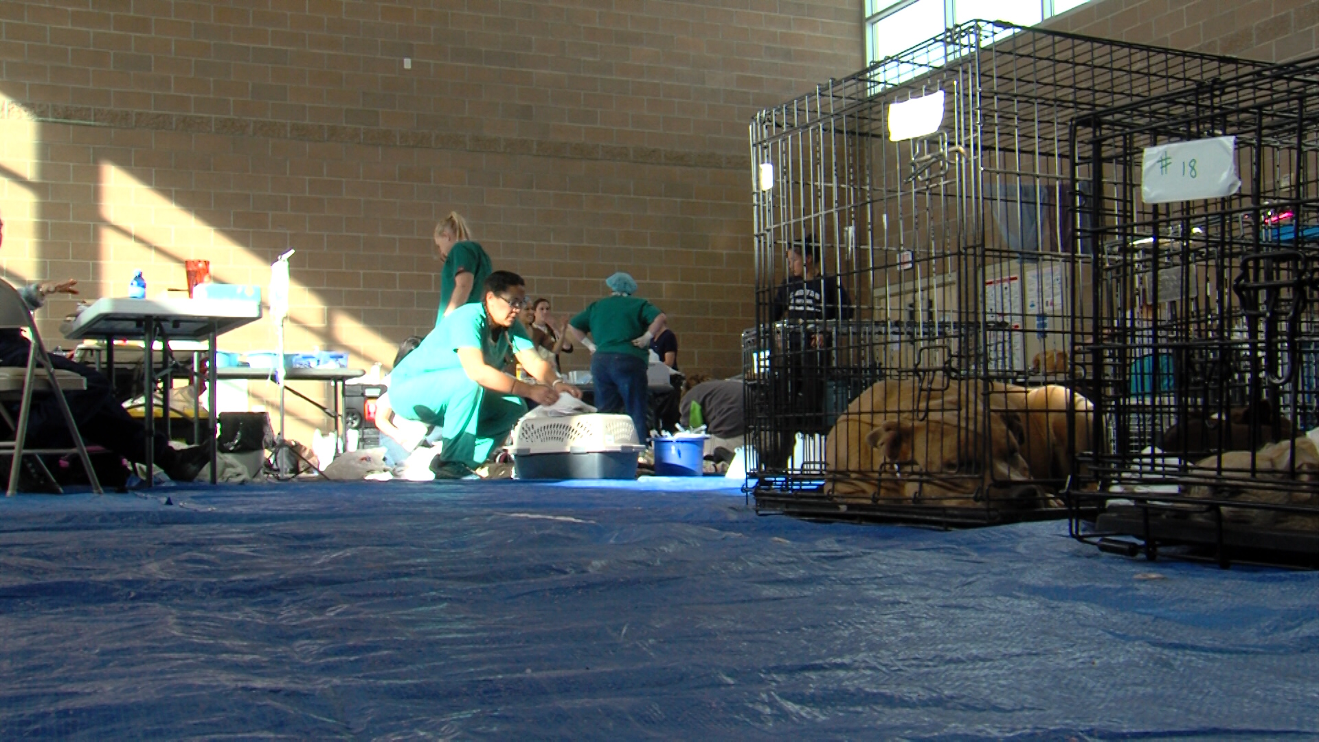 There are many remote parts of our state that have very little access to pet care. For those who live on reservations the only option is to travel, sometimes hundreds of miles for services. But there is one group trying to do something about it. (KSL TV)