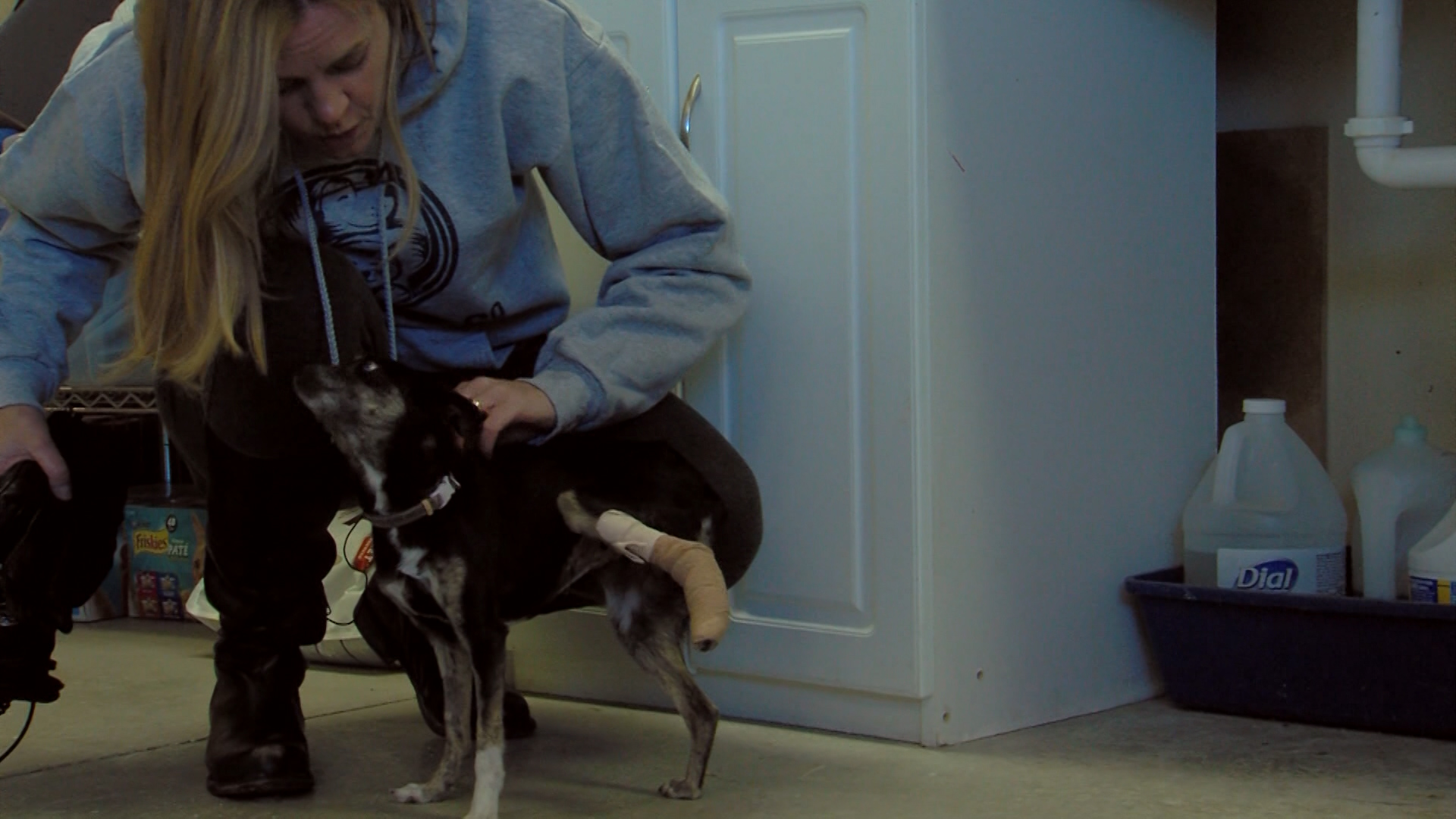 There are many remote parts of our state that have very little access to pet care. For those who live on reservations the only option is to travel, sometimes hundreds of miles for services. But there is one group trying to do something about it. (KSL TV)
