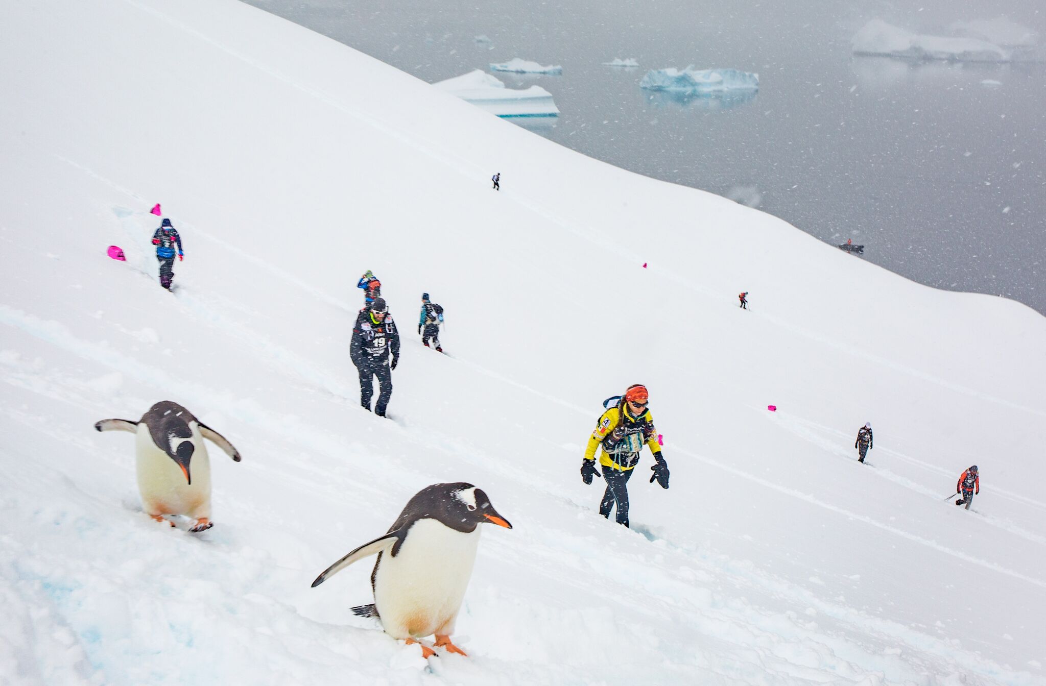 Photo: Myke Hermsmeyer/www.4deserts.com