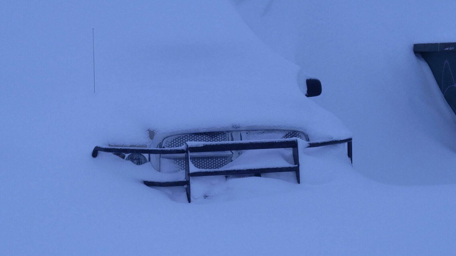 Photo: Joseph Marabella