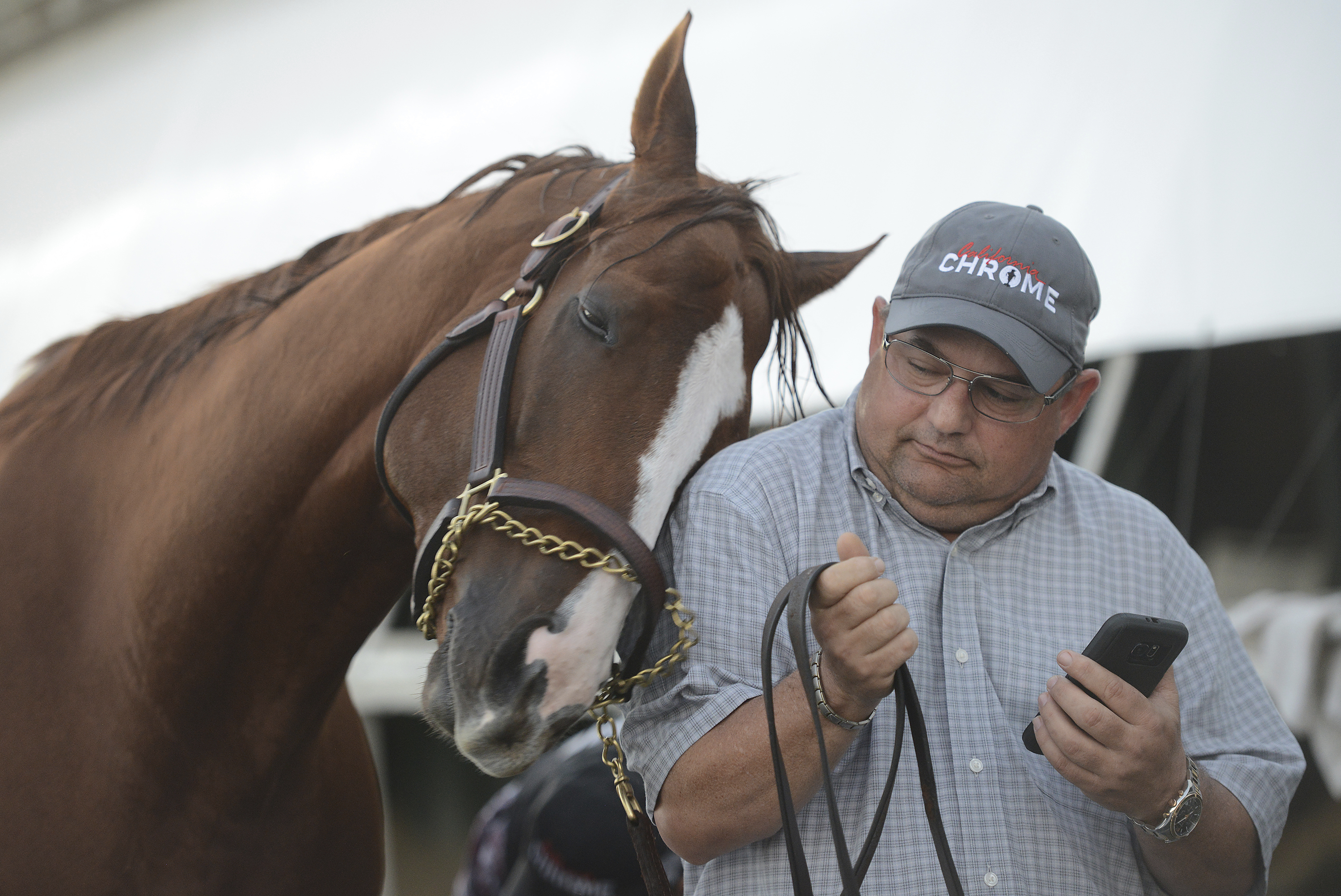 $12 million Pegasus gives racing big buzz, huge purse