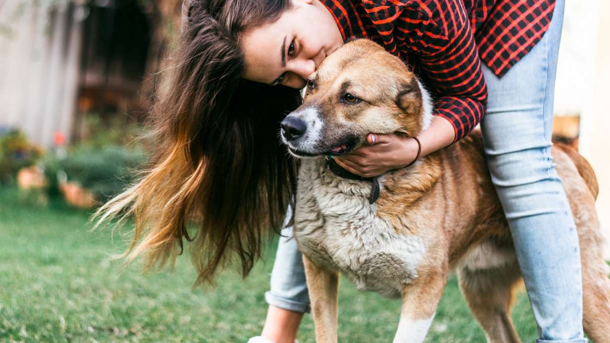 7 apps for busy pet owners