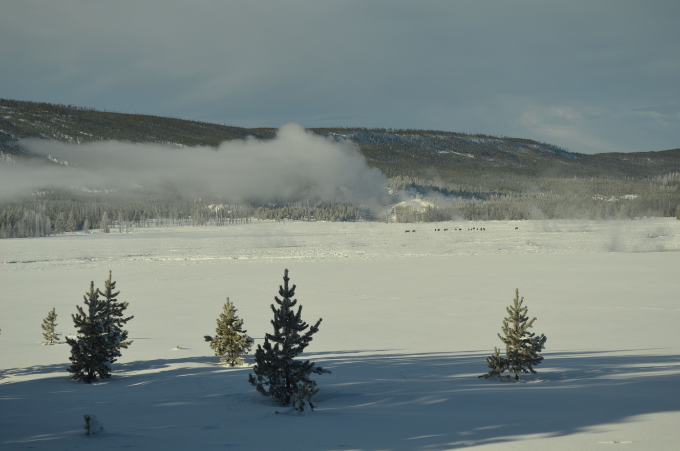 Winter in Yellowstone is a magical place for the lucky few visitors who tour the park this time of year. Yellowstone is the fifth most visited national park. It attracted well over 4 million visitors last year, but in the winter, the crowds are virtually nonexistent. (Photo: Thomas Hollenhorst)