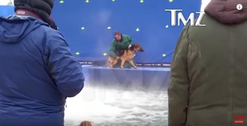 American Humane: Third-party report clears 'A Dog's Purpose'