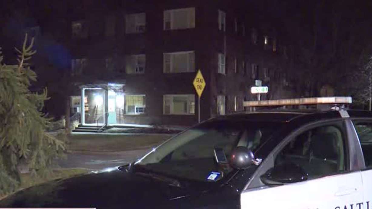 Police seeking three more men in stabbing investigation